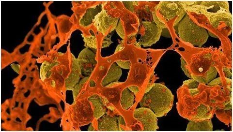 640 (1).jpg 640 (1).jpg