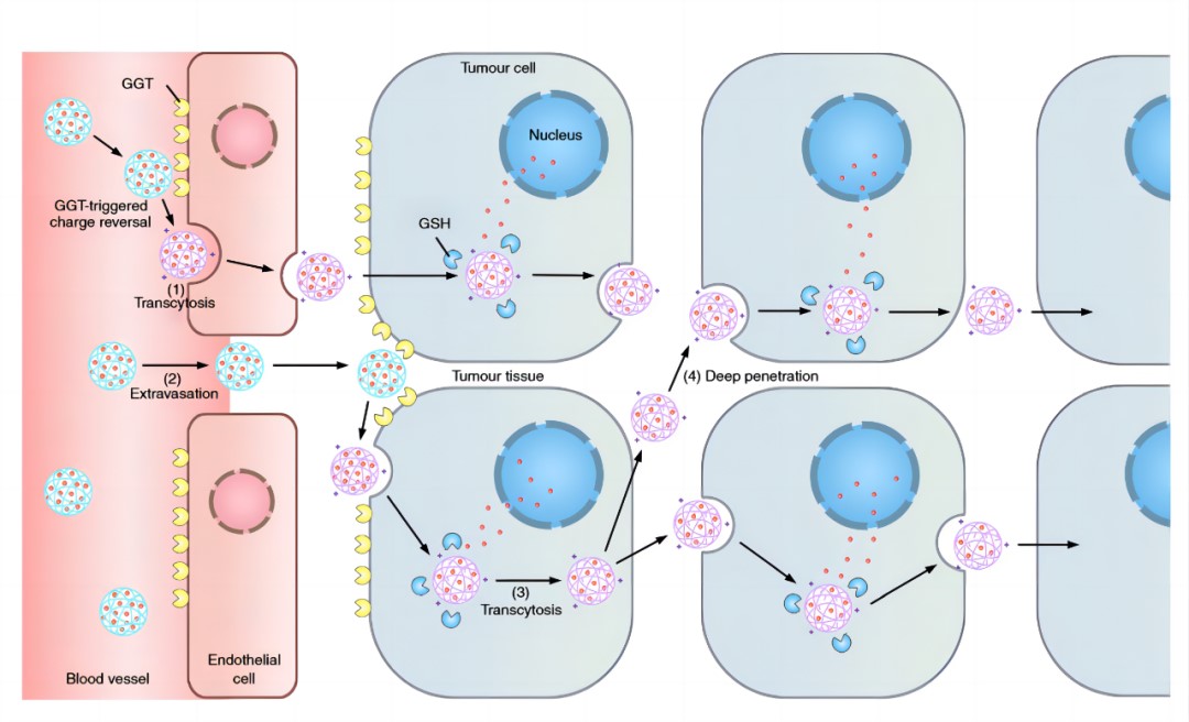 640 (8).jpg 640 (8).jpg